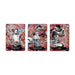 3rd Anniversary Set English Version (Ace, Sabo & Luffy) | One Piece Card Game - Iconic Evolution